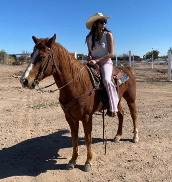 Woman in a cowboy hat sits on a horse.
